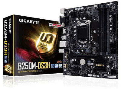 Gigabyte GA-B250M-DS3H Alaplap