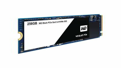WD 256GB Black M.2 2280 PCIe SSD