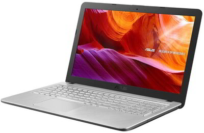 Asus VivoBook X543MA - 15,6" HD, Celeron DualCore N4000, 8GB, 256GB SSD, Microsoft Windows 10 Professional - Ezüst Laptop (verzió)