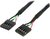 Startech 24 5 PIN USB IDC header kábel